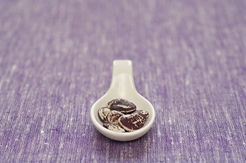 20 Certified Organic Natale Lima semi del fagiolo ~ Aka Grande macchiato Calico vegetali