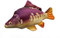 GABY Fish Pillows Karpfen Mini Kissen, Mehrfarbig