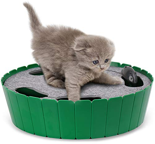 Pawaboo Interactive Cat Toy With Running Mouse, Electronic Motion Automatic Teaser for Indoor Cats, Pop and Play Hide Seek Hunting Mouse for Pet Kitten Play Fun Exercise, Green