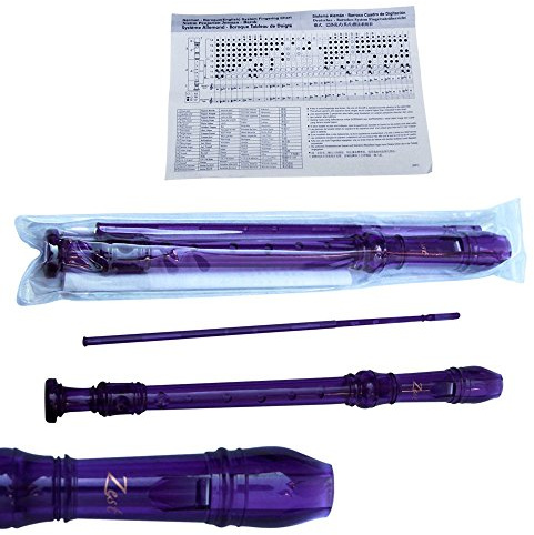 Recorder Soprano Baroque style ABS Series Plastic by Zest in Purple