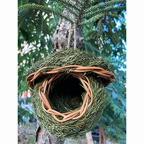 La casa de pájaros Tejida a Mano para. 14 x 15 cm. Lugar de Descanso para pájaros pequeños y medianos. Nido de césped Natural para Colgar pájaros