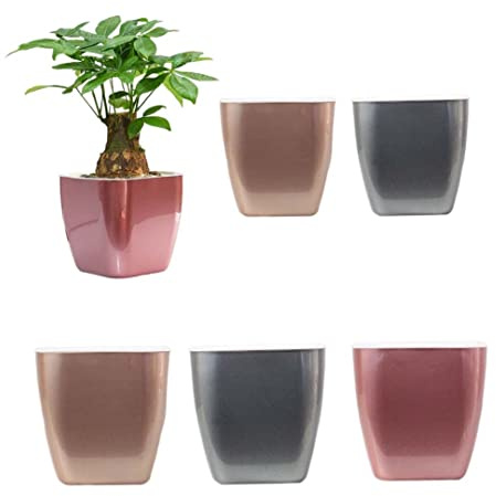 Cndiyald Self Watering, Plastic Flower Pots for Indoor Plants, Automatic Orchid & African Violet Pot with Home Decoration