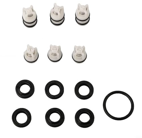Kit de réparation de pompe de lavage de voiture – Avec clapets anti-retour longs et courts – Joint d'huile à piston – Joint d'étanchéité en caoutchouc pour nettoyeurs haute pression portables à la