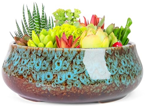 ARTKETTY Pots de Plantes Grasses – 20,3 cm – Grand Pot de bonsaï avec Drainage – Pots en céramique pour Plantes d'intérieur et d'extérieur – Pot Rond Peu Profond pour Plantes de Cactus et Fleurs de