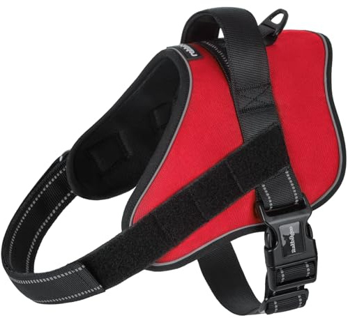 rabbitgoo Dog Harness Medium, No Pull Harness for Dogs, Easy Wearing with One Buckle, Adjustable Assistance Service Pet Vest, Breathable Pet Vest with Control Handle for Walking Training, Red, M