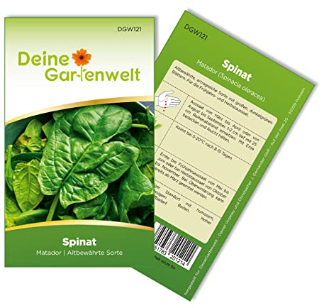 Spinat Matador Samen - Spinacia oleracea - Spinatsamen - Gemüsesamen - Saatgut für 250 Pflanzen