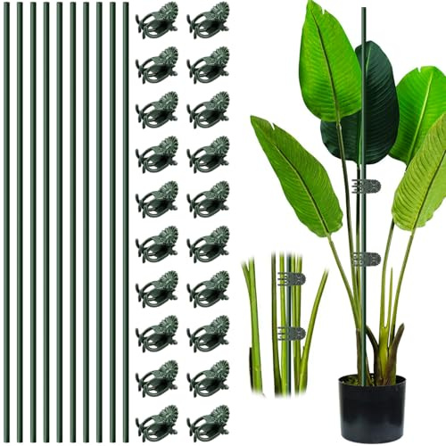 Bastoncini di Supporto per Piante Rampicanti, 10 Pcs Bastoncini per Orchidee, 20 Pcs Clip per Piante, Pali di Sostegno per Piante da Interno ed Esterno, Tutori per Piante per Pomodori Cetrioli Fiori