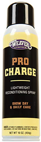 Weaver Leather Stierwalt ProCharge Reconditioning Spray