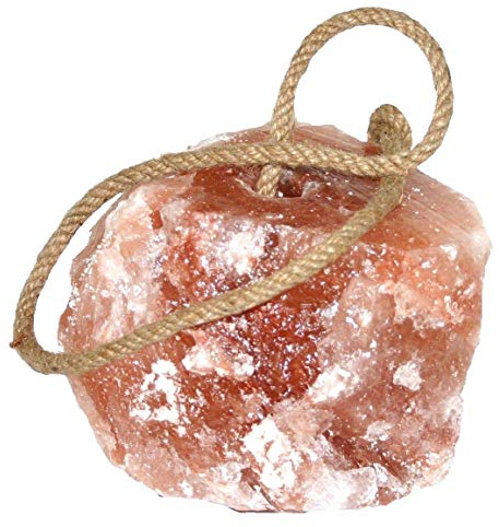 Salzleckstein 1 Stück