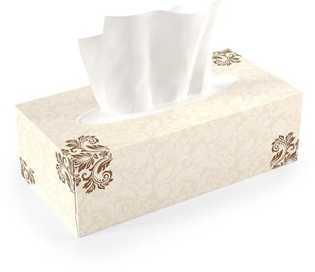 Shefa Kosmetiktücher, Großpackung, Papierbox – flache Boxen mit Greif-and-Go-Öffnung, 2-lagiges weiches Taschentuch, ideal für Gesicht und Nase, Büro und Klassenzimmer, 1 Packung (200 Taschentücher)