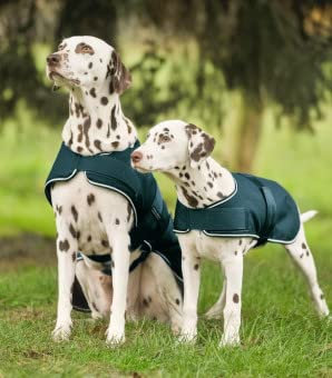 WALDHAUSEN Regen-Hundedecke, 65 cm, grün