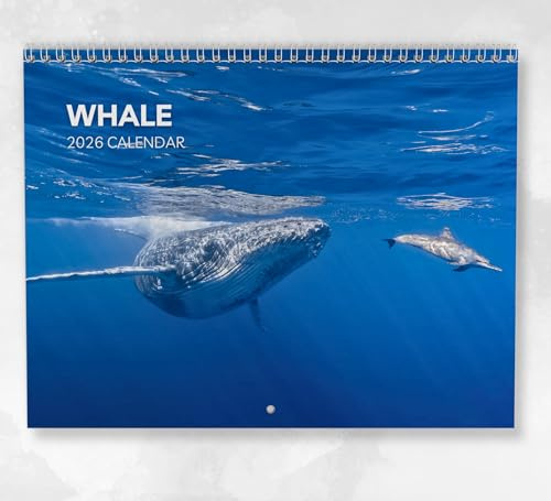 Calendario de ballenas 2026: calendario mensual de pared con notas, tamaño A4, incluye fechas clave y días festivos