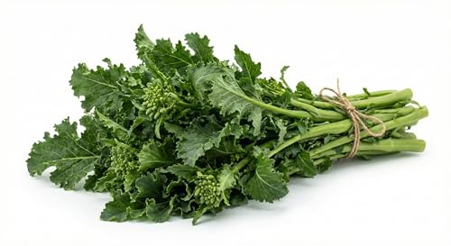 Semi Cime di Rapa Novantina Riccia di Sarno 6g | Varietà Tardiva 90 Giorni ad Alta Germinazione | Semi Ortaggi per Orto e Vaso | Produzione Abbondante e Sapore Intenso