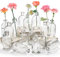 YOUEON 16 Stück lebende Knospenvasen, klare Glasblumenvase, 250 ml dekorative Flaschenvase, Glasvase, kleine Vasen für Heimdekoration Mittelstücke, Büro Tischdekoration, Hochzeitsempfang, Vintage Look
