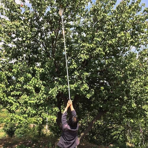 raccogli asparagi pinza frutta Raccoglitore Per Frutta Con Asta Regolabile, Albero Da Giardinaggio A Manico Lungo Strumento Per La Raccolta Della Frutta Per Frutta Grande E Piccola/ Mela/ Limone/ Avoc