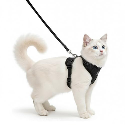 Agvdg Cat Harness and Lead Set, Escape Proof Kitten Harness with Leash, Soft Breathable Adjustable Cat Harness Comfortable Easy-to-Wear Vest for Outdoor Walking Travel Vet Visits Black S