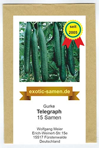Gurke - Gewächshausgurke - Telegraph - 15 Samen