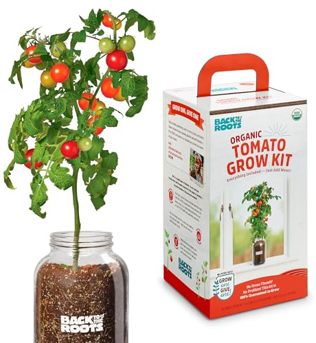 Back to the Roots Cherry Tomato Organic Windowsill Planter Kit - Grows Year Round, Includes Everything Needed For Planting