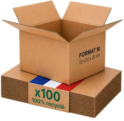 Scatola di cartone imballaggio pacco M - Lotto 100-31x22x20 cm - Rinforzato - libri, abbigliamento, accessori - Life Pack