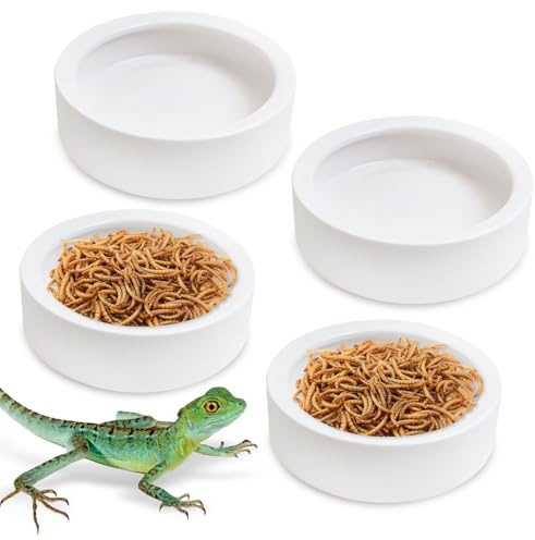 Tfwadmx 4 Pack Reptile Food Bowl, Mini Ceramic Water Feeder Bowl, Reptile Worm Feeding Dish for Lizard Turtle Bearded Dragon Anoles Crested Gecko Hermit Crab Leopard Gecko Chameleon Corn Snake