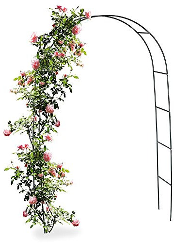 BAKAJI Arco Da Giardino Supporto Per Rose Piante Rampicanti In Metallo 140 x 35 x 240H Colore Verde Scuro