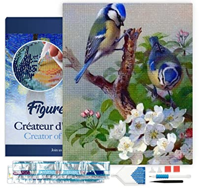 Figured'Art Diamond Painting Kit completo con marco - Cuadro 40x50cm de Pintura de Diamante - Bastidor montado - diamantes de imitación cuadrados - Tetas en rama - 5D DIY Manualidades Adultos