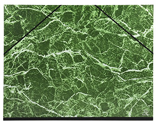 Exacompta Carton à Dessin Papier Marbré Verni 52x67 cm pour Raisin Vert