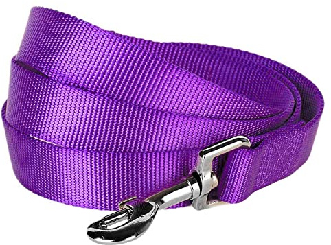 Blueberry Pet Essentials Dark Orchid Dog Leash for X-Small -5' * 3/8 Dogs | Heavy Duty Nylon Lead | Lightweight Puppy & Cat Leash for Walking & Training