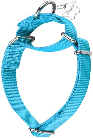 Dazzber Martingal Halsbänder für Hunde, Verstellbar Langlebig Kein Escape Stop Ziehen Hundehalsband Nylon für Große/Mittlere/Kleine Hunde (L(42cm-66cm), Türkis)