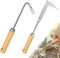 mizikuu 2 Pezzi Estirpatore Erbacce Manuale, Sarchiatrice Manuale in Acciaio Inox con Manico Ergonomico in Legno Naturale Sarchiatore per Erbacce per Rimuovere Muschio Ed Erbacce