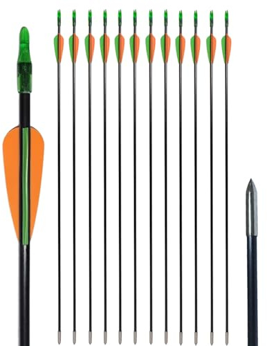 biubiusot 12 Pcs 30 inch Archery Arrows Spine Fiberglass Hunting Arrows Target Practice Shooting Arrows for Youth Beginner Recurve Bow Compound Bow