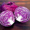 Semi di Radicchio Marrone 60 pezzi