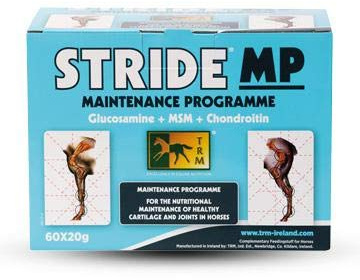 STRIDE MANTENIMIENTO 60X20GR