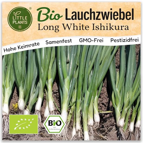 Little Plants BIO Lauchzwiebel Samen Ishikura Long White 125 Zwiebelsamen Gemüsesamen Samenfest für Gemüsegarten Gemüse Samen für Küche, Balkon, Hochbeet und Garten