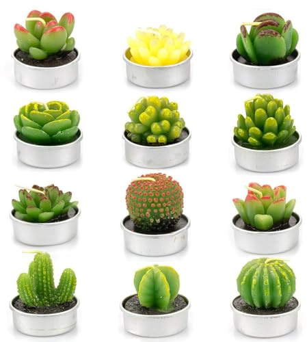 Neuytiky 12 Velas Hechas a Mano Delicadas de Cactus,Juego de Velas de té de Cactus,Lindas Mini,Creativa De Plantas Suculentas,para Fiestas de Cumpleaños, Bodas, Decoración Del Hogar, Regalos