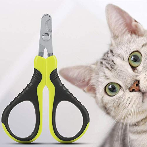 Taidda Coupe-Ongles Professionnel pour Animaux de Compagnie, Ciseaux à Griffes Pointus pour Chat et Chiot pour Petits Animaux, Coupe-Ongles en Acier Inoxydable pour Lapin, Oiseau, Hérisson, 9,5 X