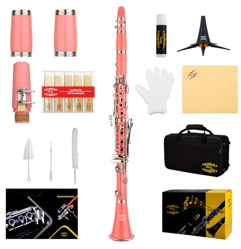 Glory GLY-CLAPK Professional Ebonite Bb Clarinet with 10 Reeds, Stand, Hard Case, Cleaning Cloth, Mouthpiece Brush and Pad Brush,Pink/Silver