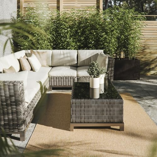 Interiyou Alfombra Exterior Asti - 200x300 cm Beige - Apariencia de Yute - Resistente a los Rayos UV para Exteriores: balcón, terraza, jardín o Cocina - Tejido Plano