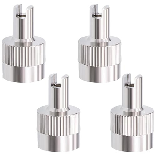 4 Tapones metálicos para Llaves de Coche, Tapas Antipolvo De Neumáticos para Automóviles, Tapas de Válvula de Neumáticos, para Coche, Moto, CamióN, Bicicleta