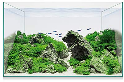 ICA Kit Aquascape Basic 14 12.7 ml
