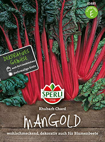 81485 Sperli Premium Mangold Samen Rhubarb Chard | Zart | Wohlschmeckend | Mangold Saatgut | Mangold Saat