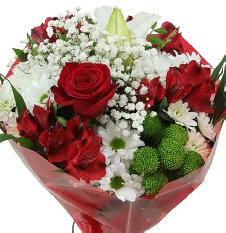 DECOALIVE Ramo Rojo Natural con Flores Faciles de Cuidar