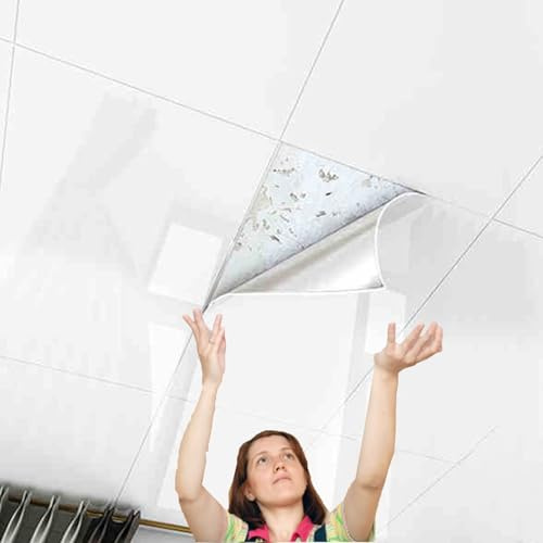 Panel decorativo pared y Techos Paneles De Techo Suspendido De 40 X 80 Cm, Ligeros Y Resistentes, Revestimiento Techo PVC Autoadhesivo Moderno, Ideal Para Dormitorio, Cocina Y Baño.(55 pcs)