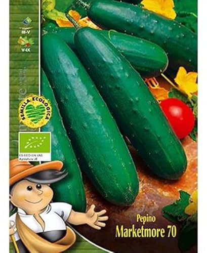 Planta de Pepino Sobre de Semillas Naturales para Sembrar en Casa