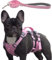 Wuffley Hundegeschirr mit Leine, Sicherheitsgeschirr Hund Ausbruchsicher, Anti Zug Hundegeschirr mit Assistenzgriff und Reflektierende, Leichtes Verstellbare Geschirr für Mittelgroße Hunde (Rosa,XS)