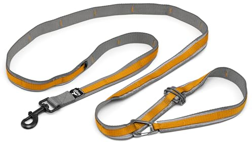Kurgo 6 in 1 Quantum Leash, Hands Free Leash for Dogs, Running Belt Lead, Crossbody & Waist Belt Style, Reflective, Carabiner Clip, For Training, Hiking, or Jogging, orange