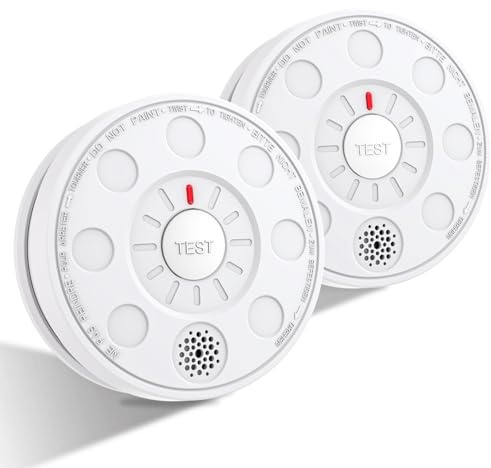 ZYTA Smoke Alarms for home, LZ-1901, 2 Pack | 10-Year Life Smoke Detector, 5-Year Replaceable Battery, 85dB Alarm, LED Indicator, TEST Button, EN 14604 Standard