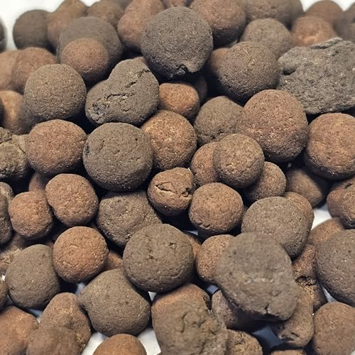 6oz Pack Lightweight Expanded Clay for Terrarium Substrate and Planters