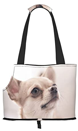 Carina borsa pieghevole per cani Chihuahua, borsa portabagagli, adatta per cuccioli, cani di piccola taglia e gatti per viaggi all'aperto
