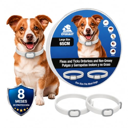 Tempotech ® Collier antiparasitaire Chien - 8 Mois de Protection - Contre Les puces, tiques, moustiques, acariens et poux - Collier Vermifuge (2 unités PVC 65 cm)